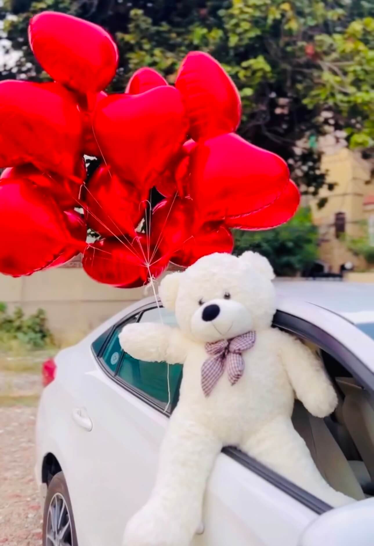 Extra large teddy with ballons